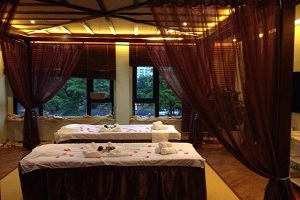 加盟夢顏堂spa養生館加盟