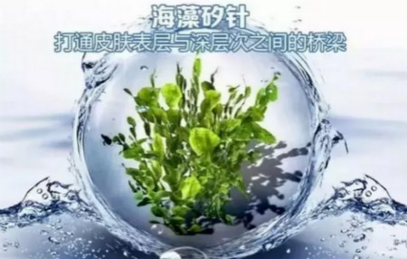 NEWNEW|修復(fù)痘坑痘印還得靠海藻煥膚