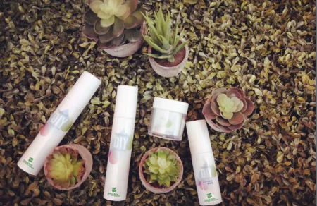 開皮膚管理中心多少錢？小型皮膚管理中心費用分析