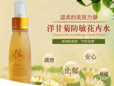 奧瑞拉洋甘菊防敏花卉水