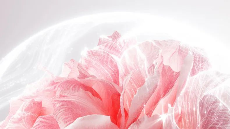 補水修復(fù)組合 | 玫瑰鮮“活”，肌膚萬能補水神器