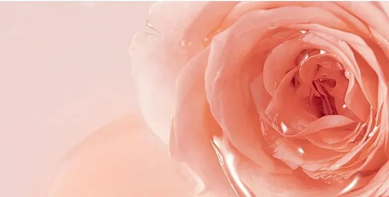 補水修復(fù)組合 | 玫瑰鮮“活”，肌膚萬能補水神器